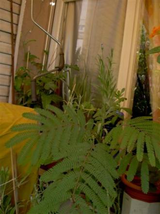 gallery_6830_1095_15206.jpg