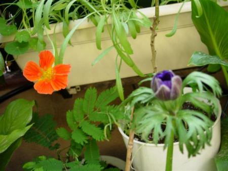 gallery_6830_1095_22065.jpg