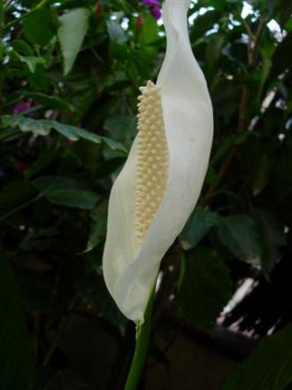 gallery_6830_1095_25119.jpg