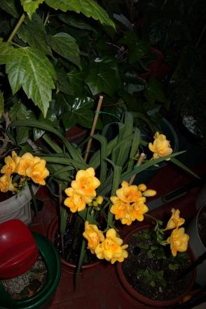 gallery_6830_1095_397826.jpg