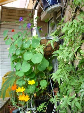 gallery_6830_1095_44246.jpg