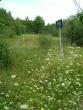 tn_gallery_365_1083_98406.jpg