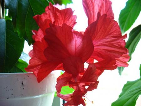gallery_10231_831_8061.jpg