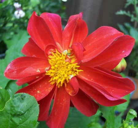 gallery_6249_1098_1233.jpg