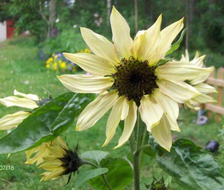 gallery_6249_1098_32566.jpg
