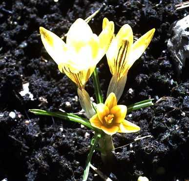 gallery_6249_1103_21758.jpg