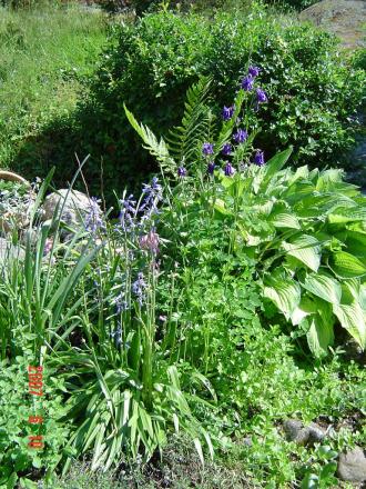 gallery_12071_1109_239765.jpg