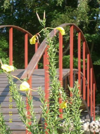 gallery_12386_1102_92859.jpg