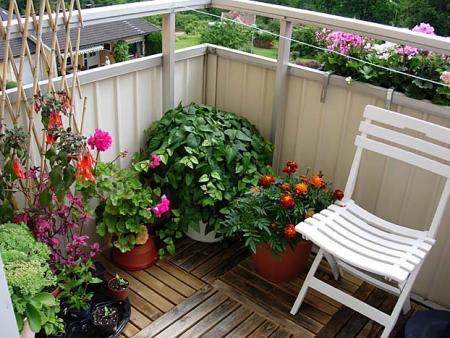 gallery_12394_32_27373.jpg