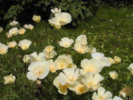 gallery_9464_13_413608.jpg