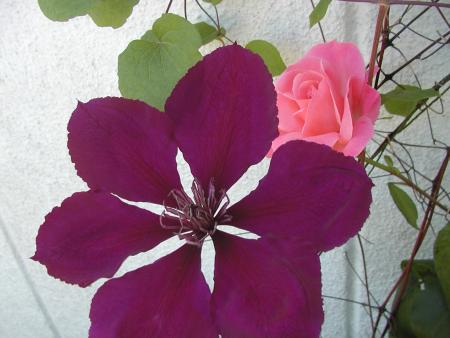 gallery_9464_27_251829.jpg
