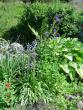 tn_gallery_12071_1109_239765.jpg