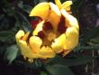 tn_gallery_6249_1103_20169.jpg
