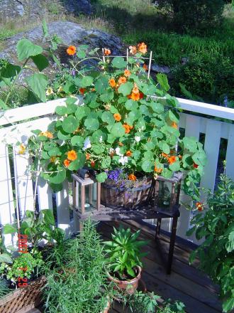 gallery_12071_1109_181715.jpg