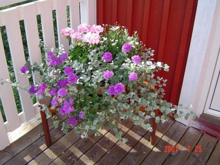 gallery_12071_1109_23729.jpg