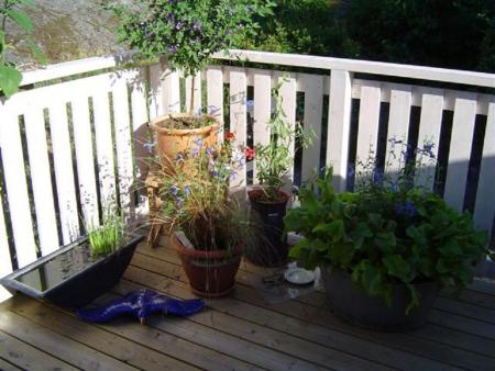 gallery_12071_1109_36869.jpg