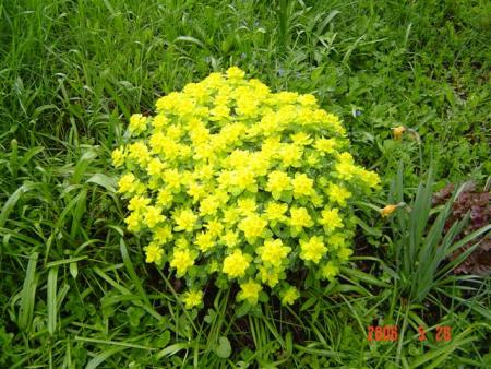 gallery_12071_1109_63113.jpg