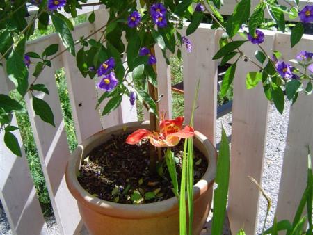 gallery_12071_1109_74272.jpg