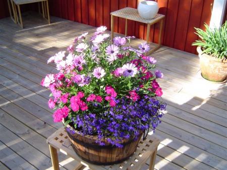 gallery_12071_1109_74301.jpg