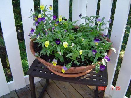 gallery_12071_1109_80041.jpg
