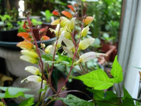 gallery_6830_1095_16897.jpg