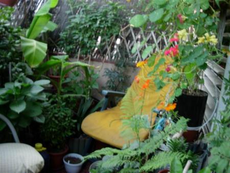 gallery_6830_1095_24741.jpg