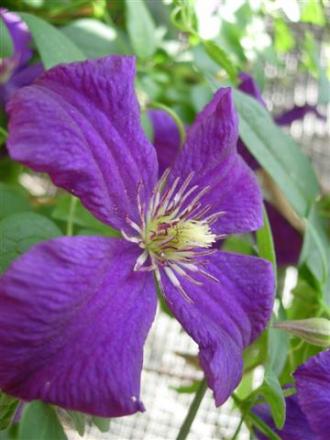 gallery_6830_1095_32514.jpg