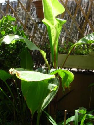 gallery_6830_1095_34647.jpg