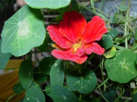 gallery_6830_1095_40934.jpg