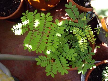 gallery_6830_1095_45781.jpg