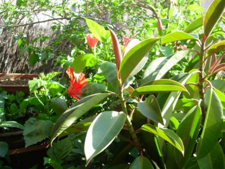 gallery_6830_1095_47516.jpg