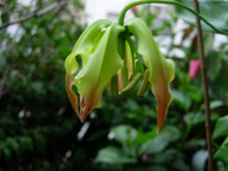 gallery_6830_1110_8913.jpg
