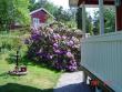 tn_gallery_12071_1109_176560.jpg