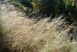 tn_gallery_12071_1109_34424.jpg