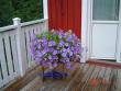 tn_gallery_12071_1109_48965.jpg