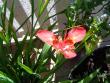 tn_gallery_12071_1109_67355.jpg
