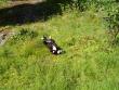 tn_gallery_12071_1109_92933.jpg