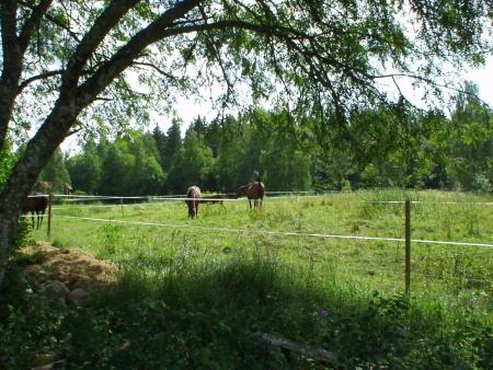 gallery_9480_1032_259265.jpg