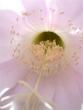tn_gallery_6830_1111_4514.jpg