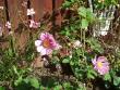 tn_gallery_9480_1032_64468.jpg