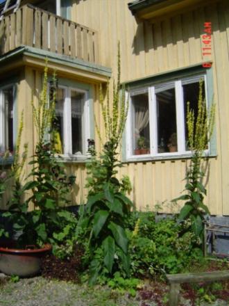 gallery_2483_1117_39465.jpg