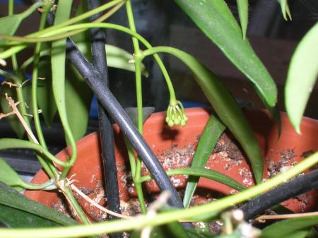gallery_6805_185_141667.jpg