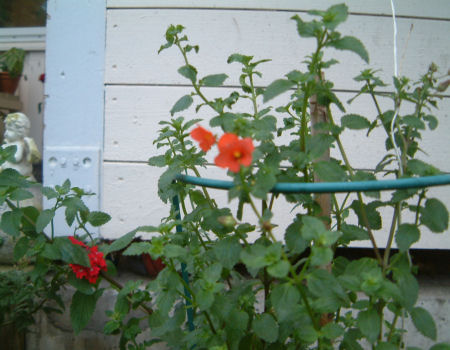 gallery_7440_1002_16429.jpg