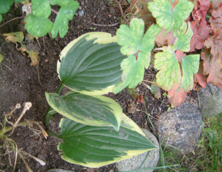gallery_7440_1002_45041.jpg