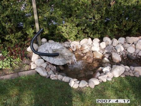 gallery_5956_1121_101709.jpg