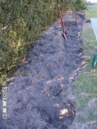 gallery_5956_1121_37805.jpg