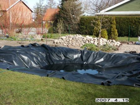 gallery_5956_1121_60629.jpg