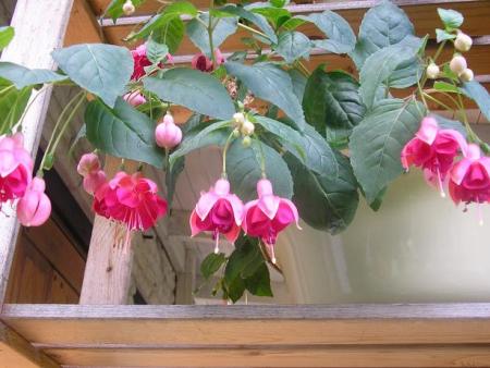 gallery_5006_1122_3719.jpg