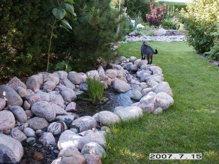 gallery_5956_1121_109550.jpg
