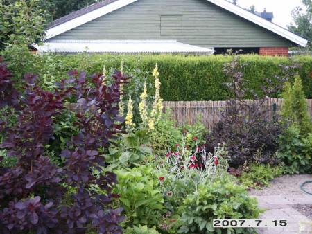 gallery_5956_1121_111710.jpg